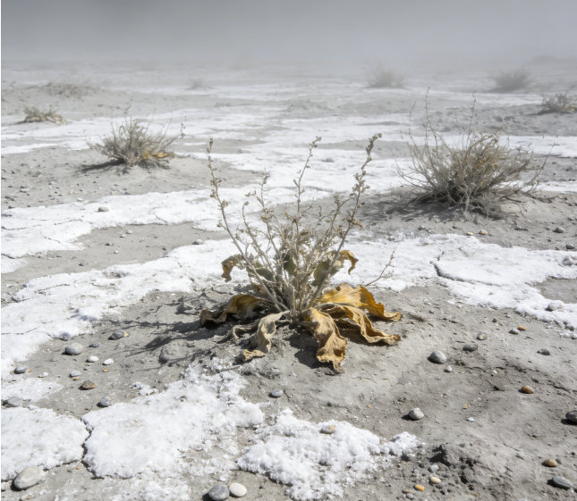 好色先生TV在线观看盐分电导率测定仪